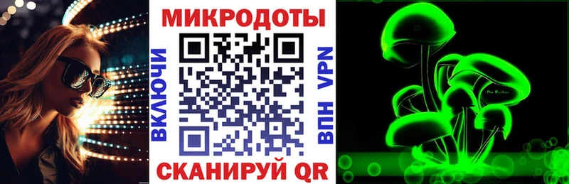 Галлюциногенные грибы прущие грибы  Петровск-Забайкальский 
