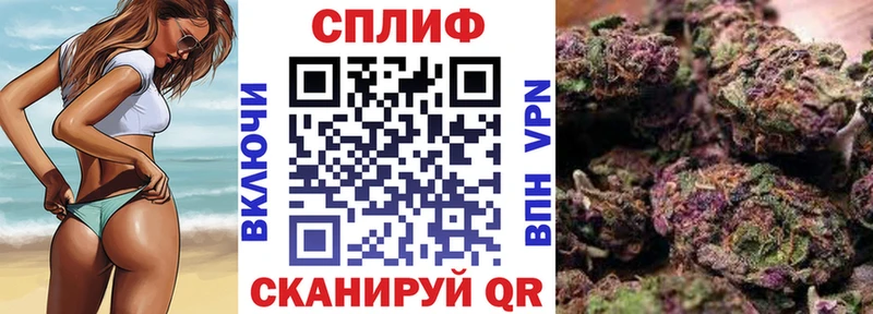 где продают наркотики  Петровск-Забайкальский  Каннабис OG Kush 